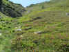 col de l'gue