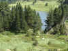 tang des rabassolles