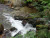 ruisseau de la barboullire
