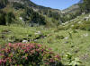 valle et porteille de boutadiol