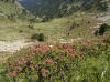 valle de boutadiol