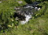 ruisseau de barbouillre