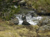 ruisseau de boutadiol