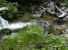 ruisseau de balbonne