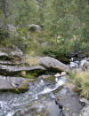 ruisseau de riutord