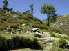 valle d'embizon
