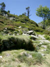 crtes de l'tg d'embizon
