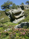valle d'embizon