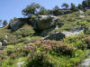 valle d'embizon