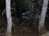 ruisseau du mourguillou