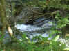ruisseau du laurenti