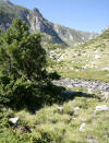 valle de la castellane