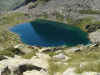 etg des brebis