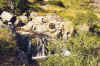 RUISSEAU DE QUIOULES