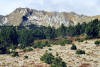 pic de la tribune